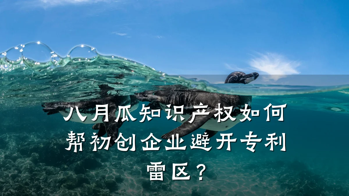 八月瓜知识产权如何帮初创企业避开专利雷区?