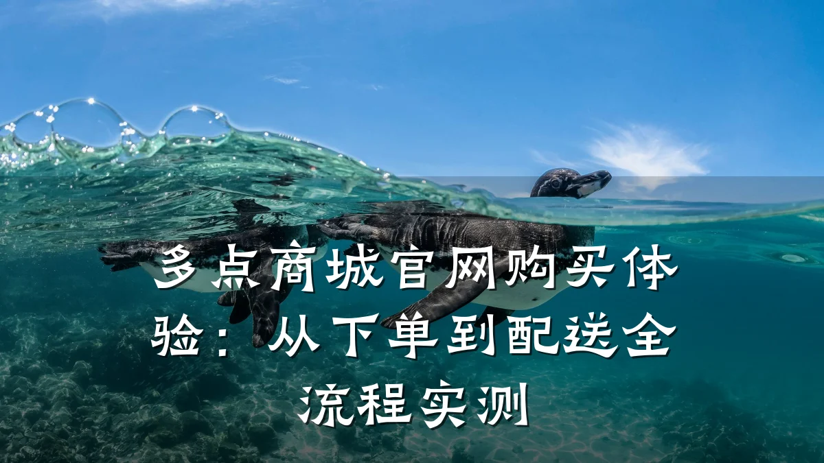 多点商城官网购买体验:从下单到配送全流程实测