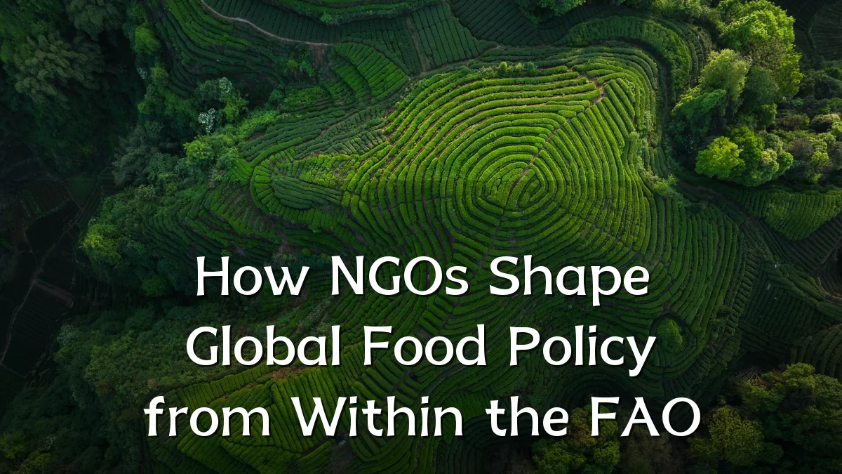 How NGOs Shape Global Food Policy from Within the FAO