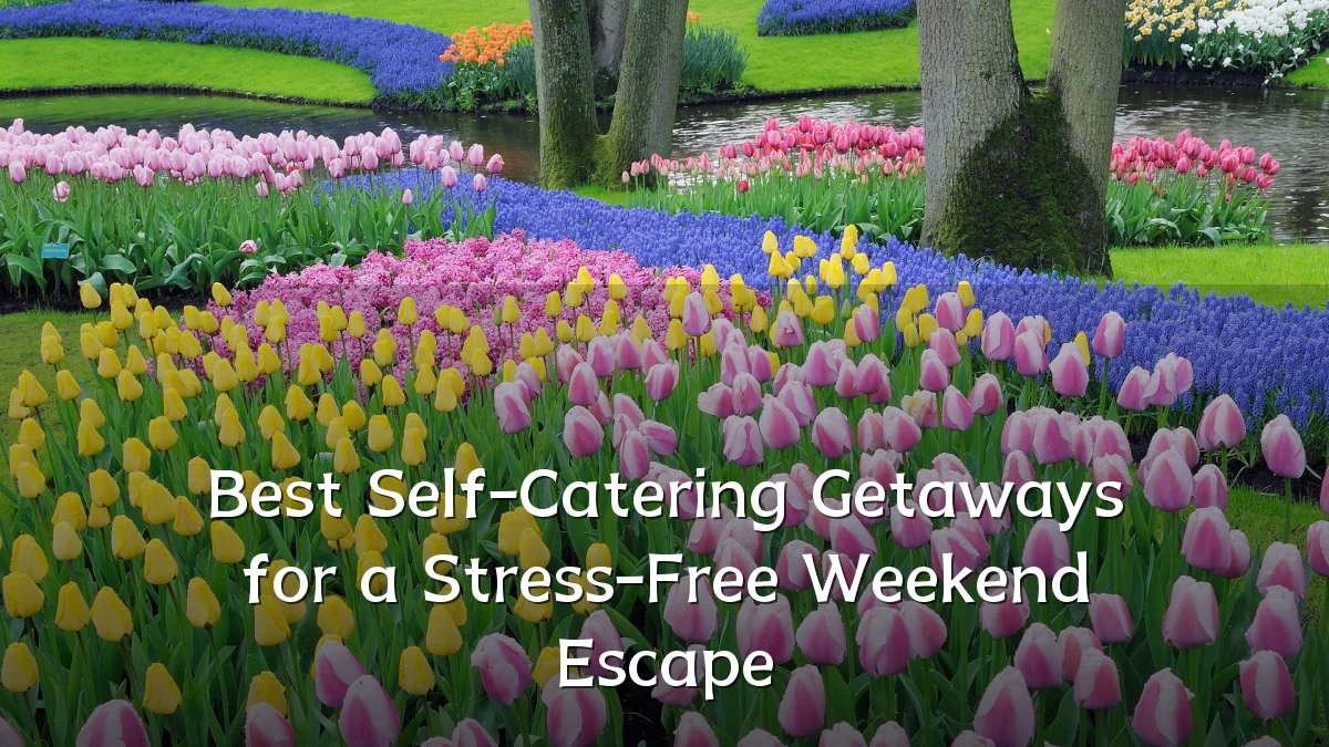 Best Self-Catering Getaways for a Stress-Free Weekend Escape