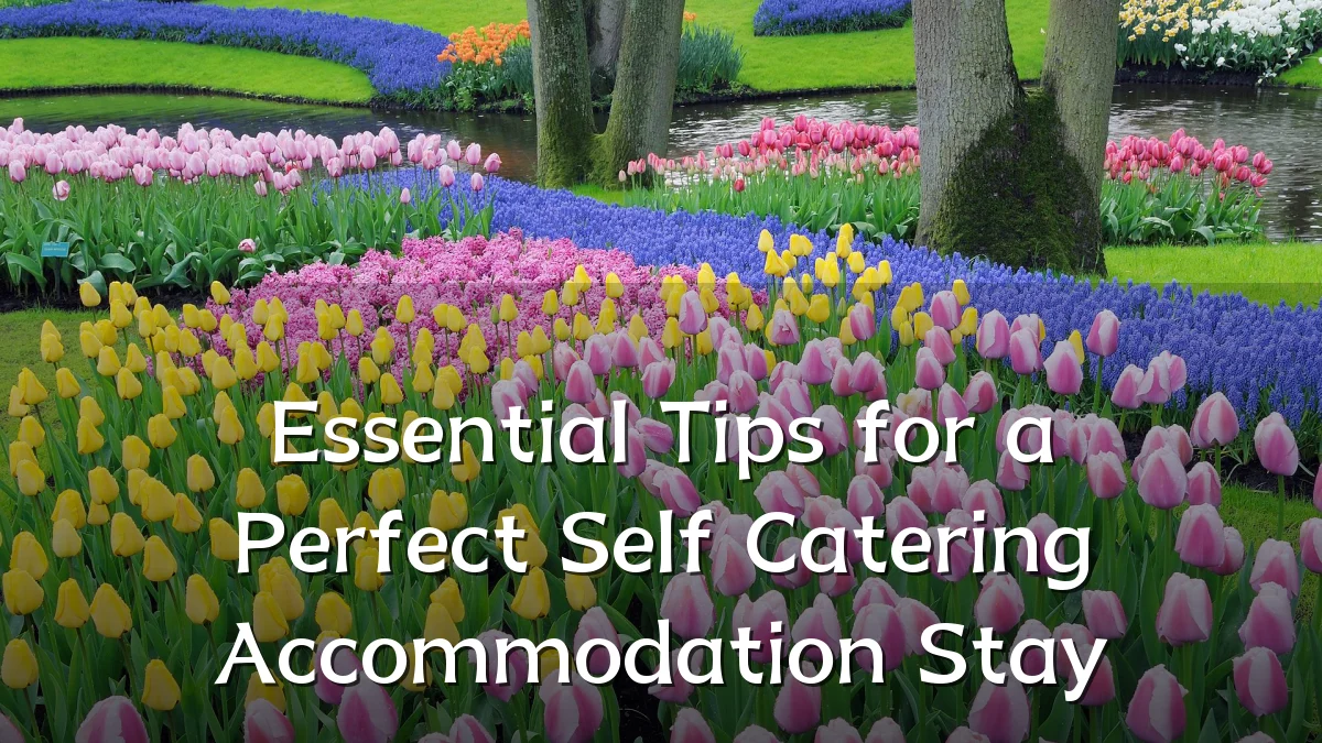 Essential Tips for a Perfect Self Catering Accommodation Stay