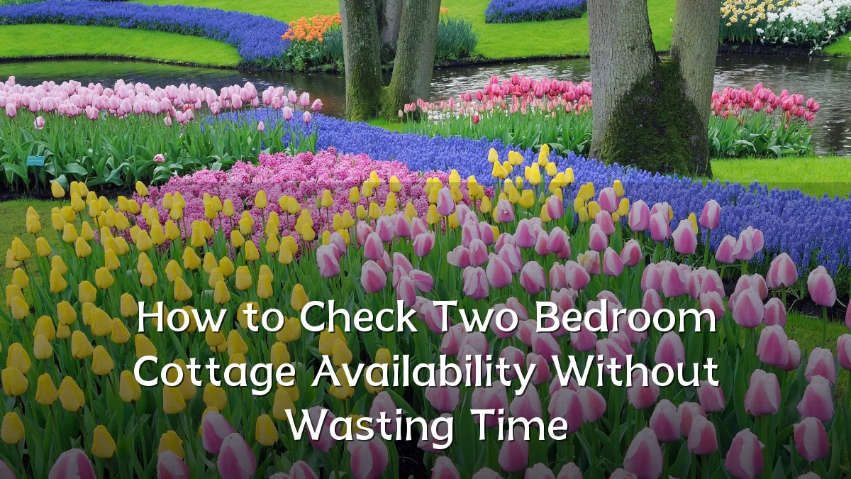How to Check Two Bedroom Cottage Availability Without Wasting Time