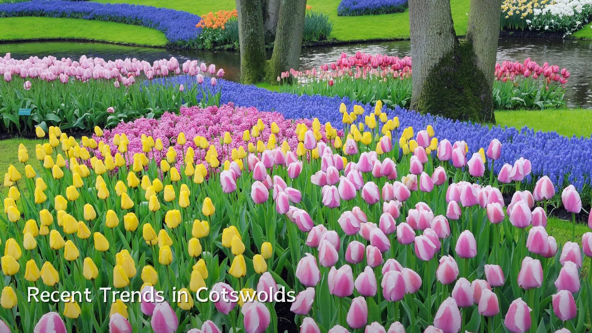 Recent Trends in Cotswolds