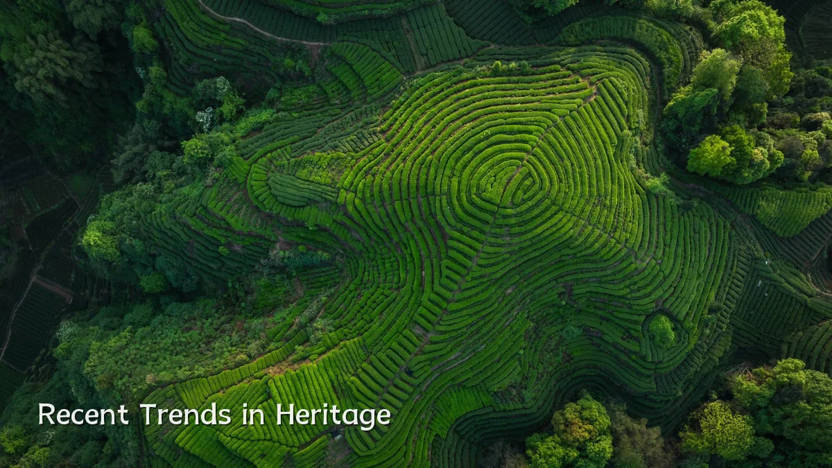 Recent Trends in Heritage