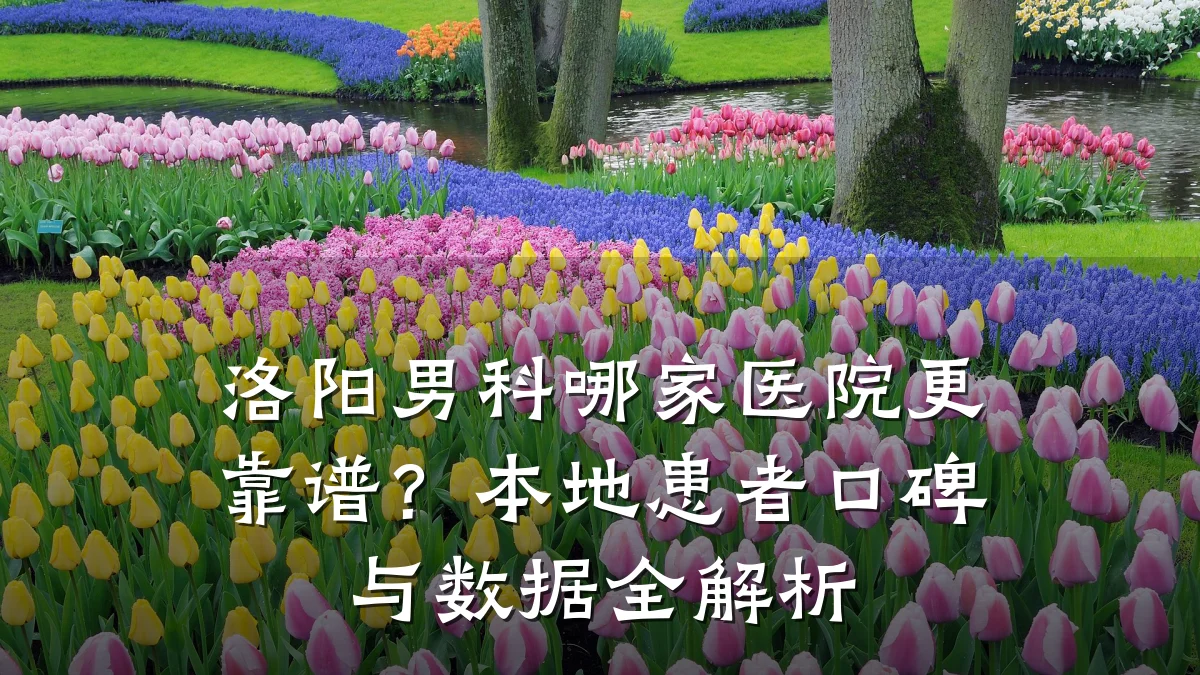 洛阳男科哪家医院更靠谱？本地患者口碑与数据全解析