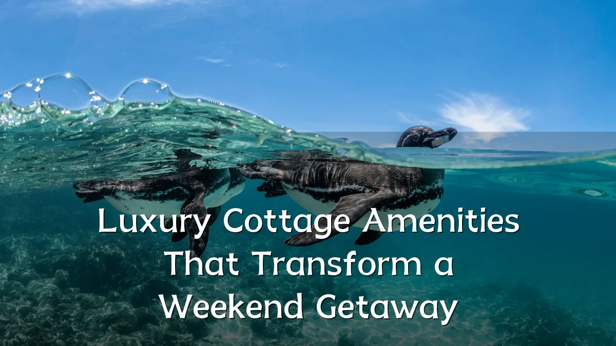 Luxury Cottage Amenities That Transform a Weekend Getaway