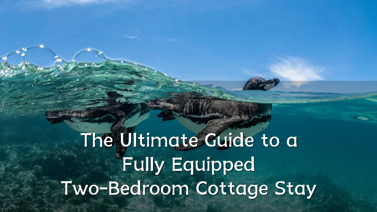 The Ultimate Guide to a Fully Equipped Two-Bedroom Cottage Stay