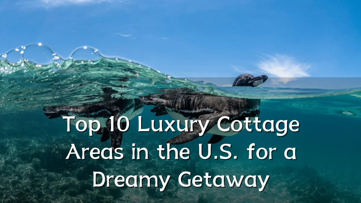Top 10 Luxury Cottage Areas in the U.S. for a Dreamy Getaway
