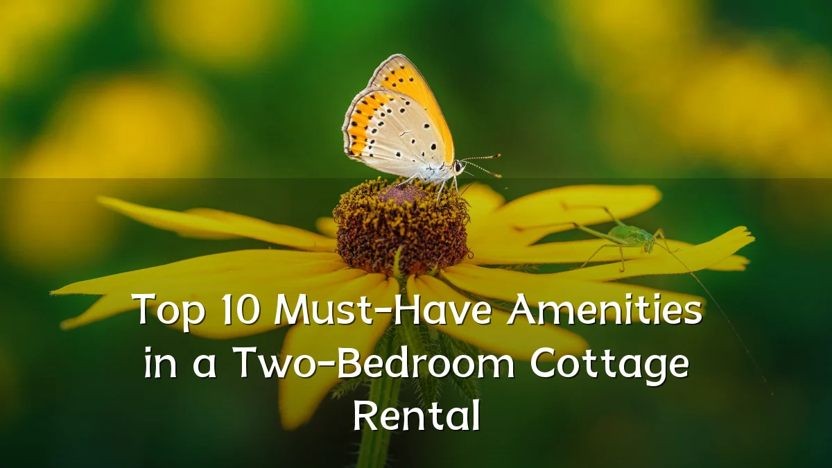 Top 10 Must-Have Amenities in a Two-Bedroom Cottage Rental