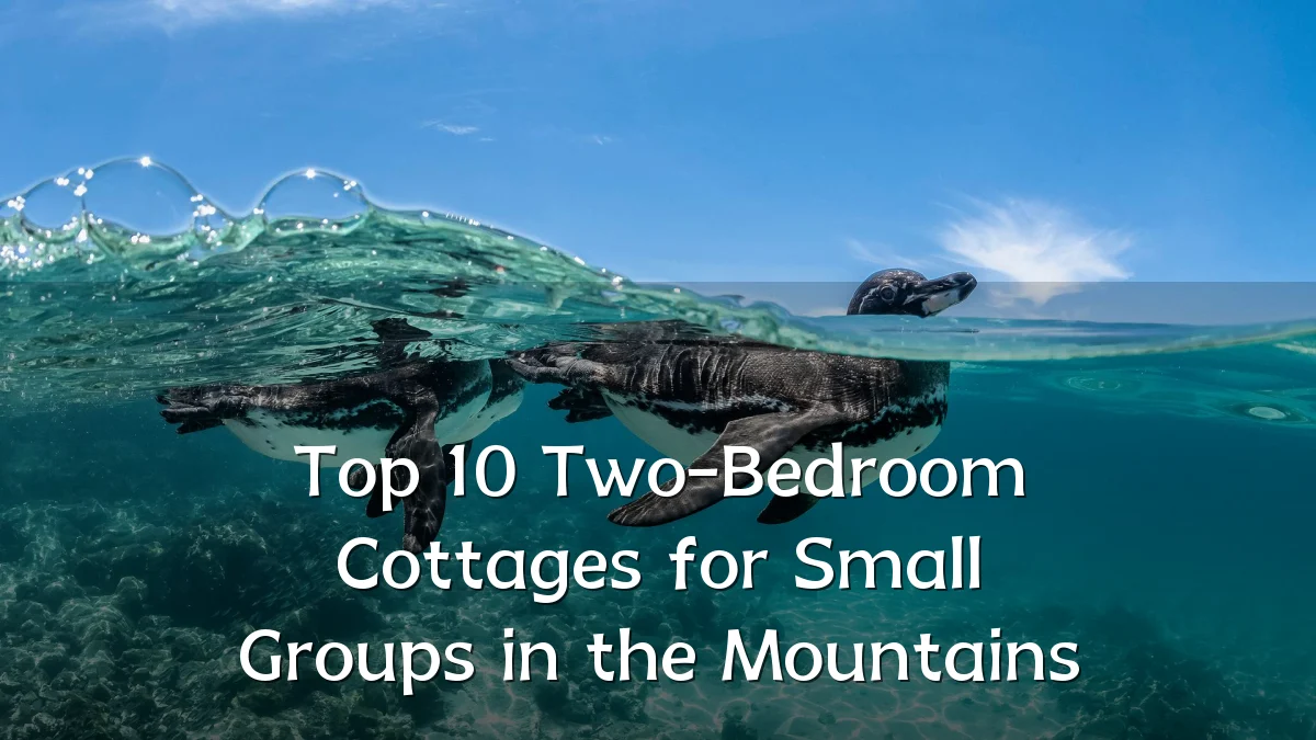 Top 10 Two-Bedroom Cottages for Small Groups in the Mountains