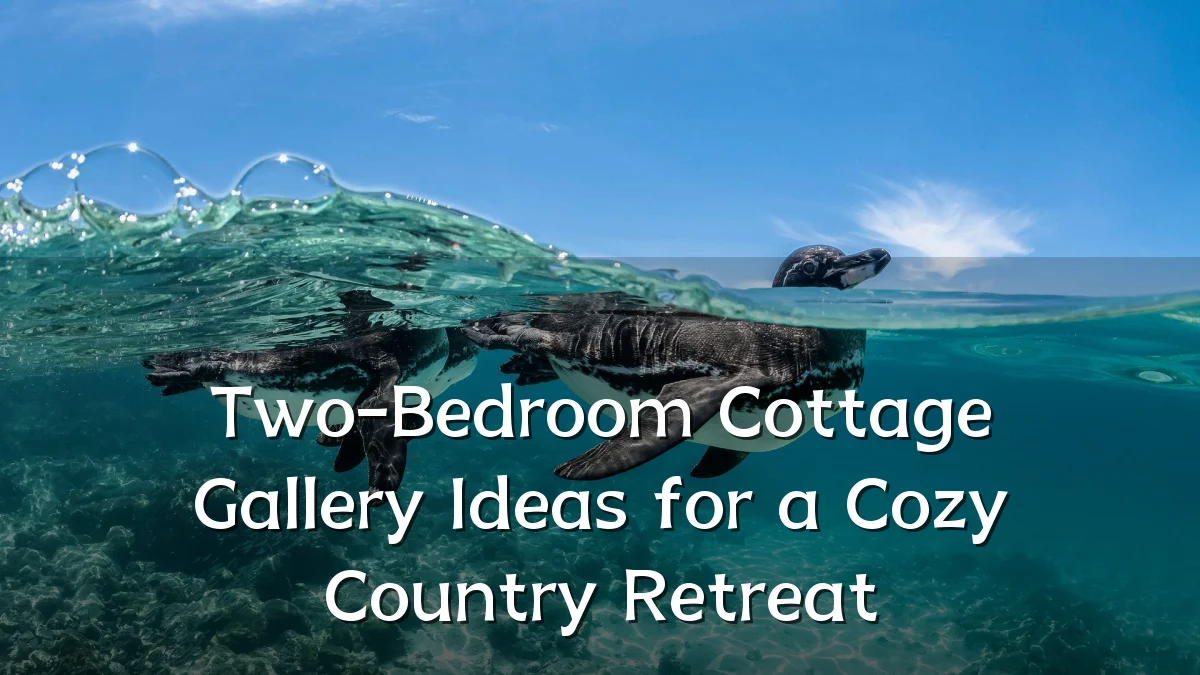 Two-Bedroom Cottage Gallery Ideas for a Cozy Country Retreat