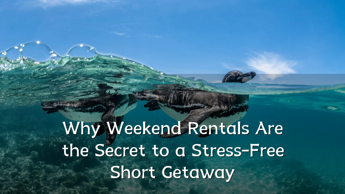 Why Weekend Rentals Are the Secret to a Stress-Free Short Getaway