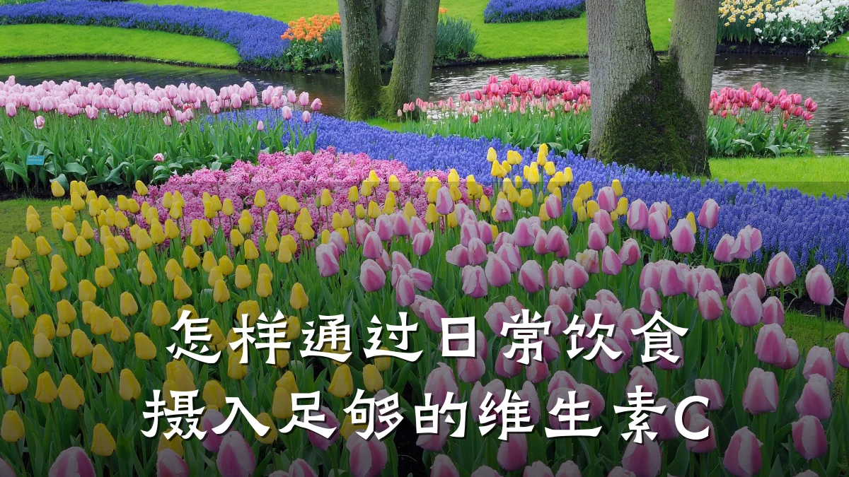 怎样通过日常饮食摄入足够的维生素C