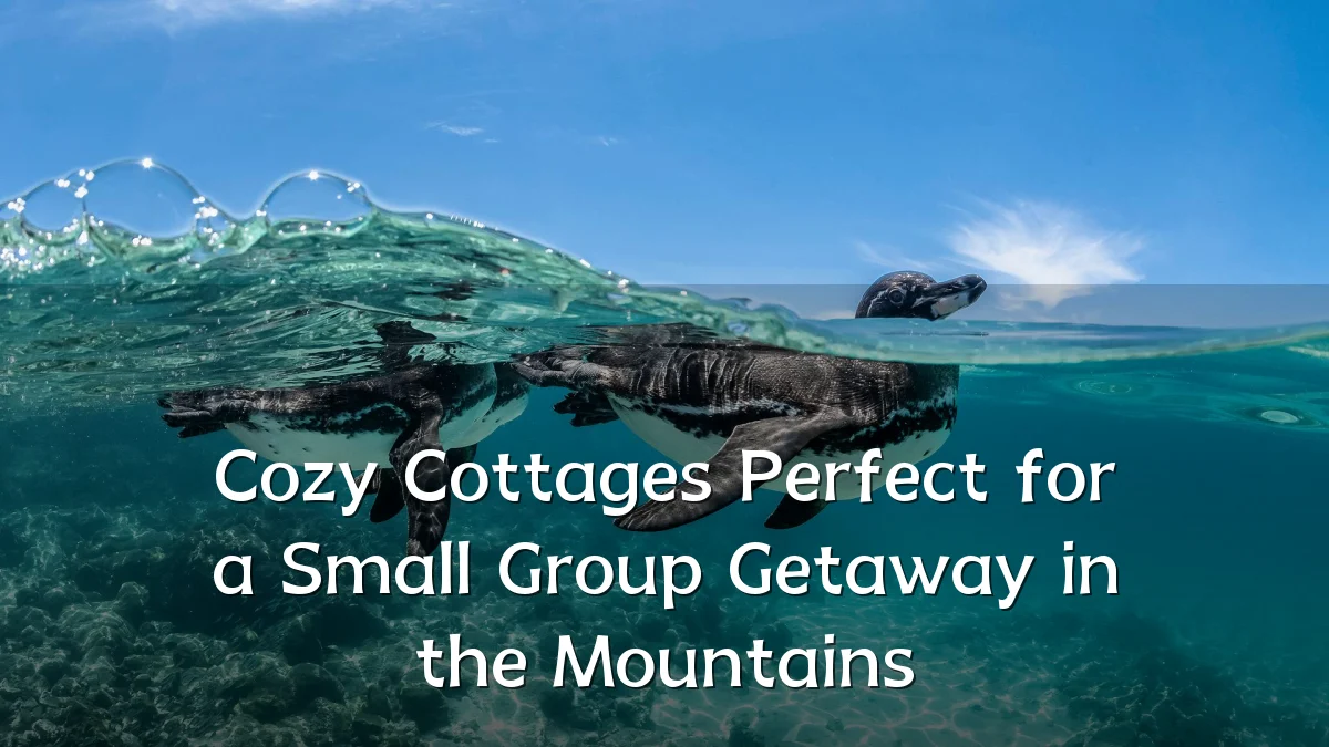 Cozy Cottages Perfect for a Small Group Getaway in the Mountains
