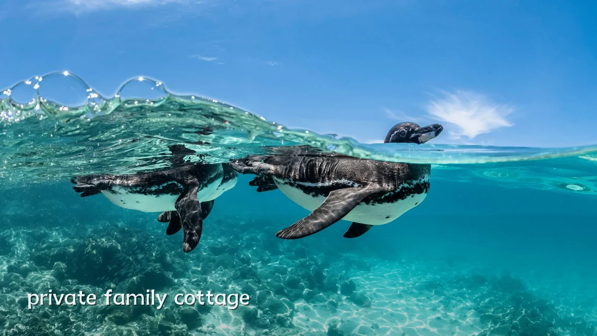 private family cottage