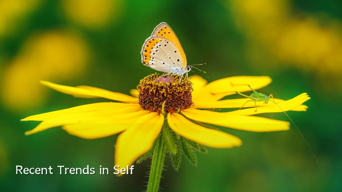 Recent Trends in Self