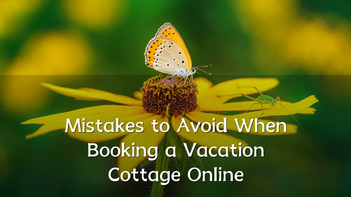 Mistakes to Avoid When Booking a Vacation Cottage Online