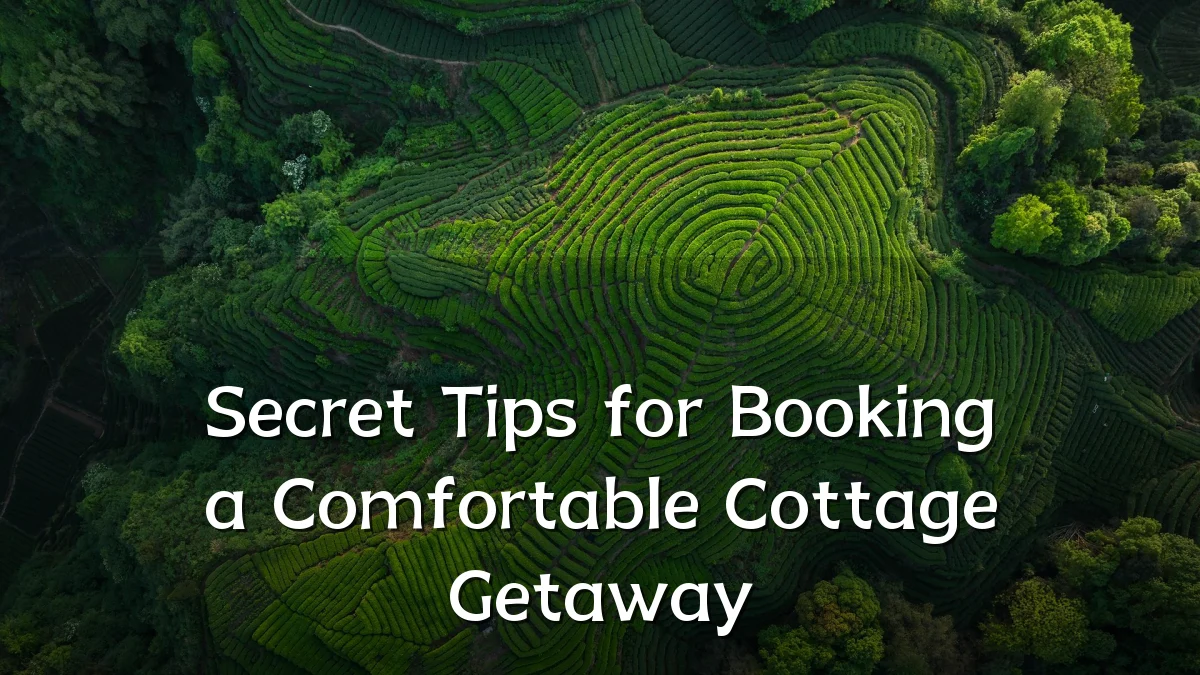Secret Tips for Booking a Comfortable Cottage Getaway