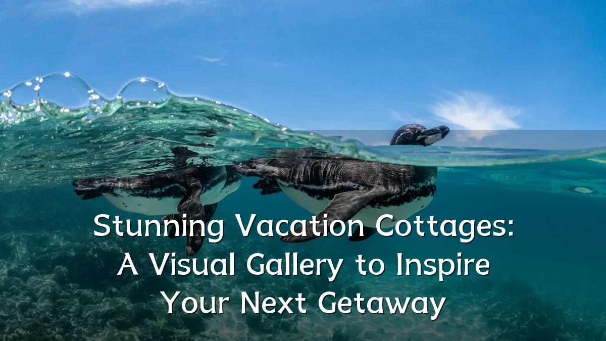 Stunning Vacation Cottages: A Visual Gallery to Inspire Your Next Getaway