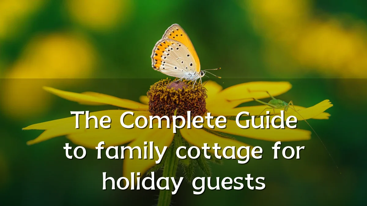 The Complete Guide to family cottage for holiday guests