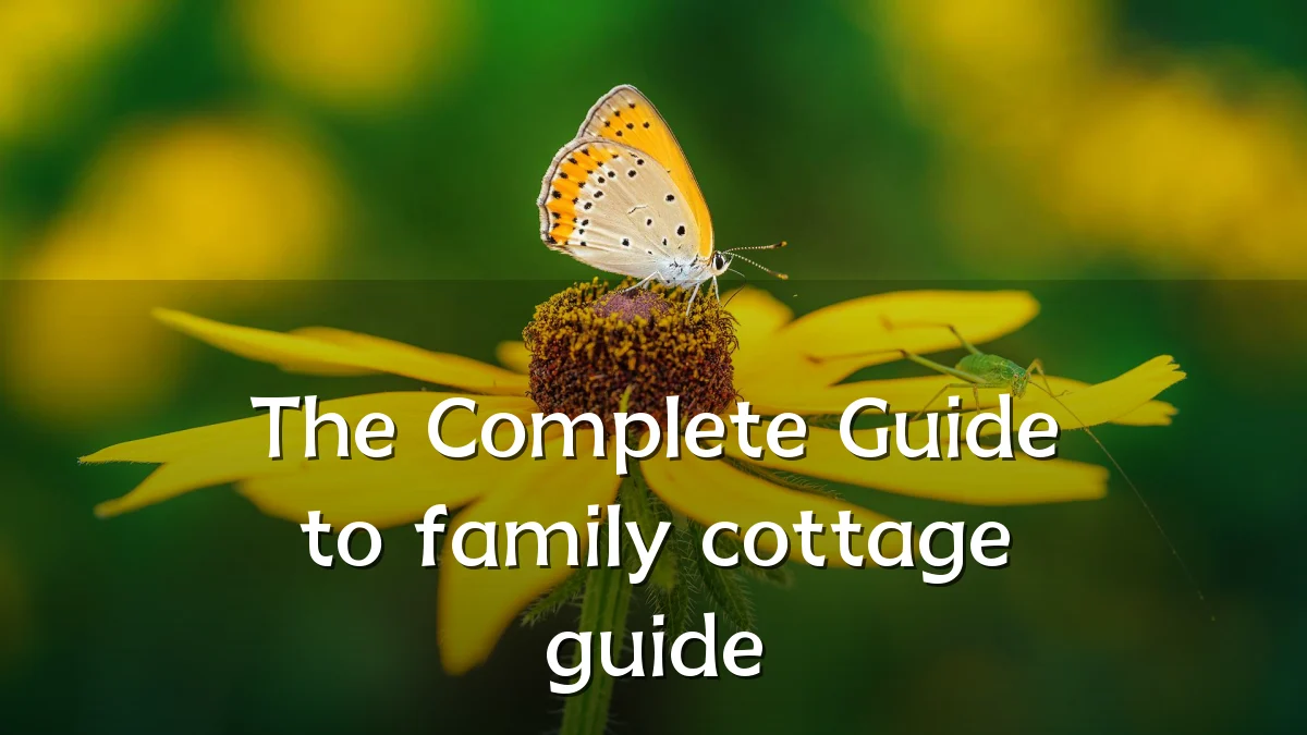 The Complete Guide to family cottage guide