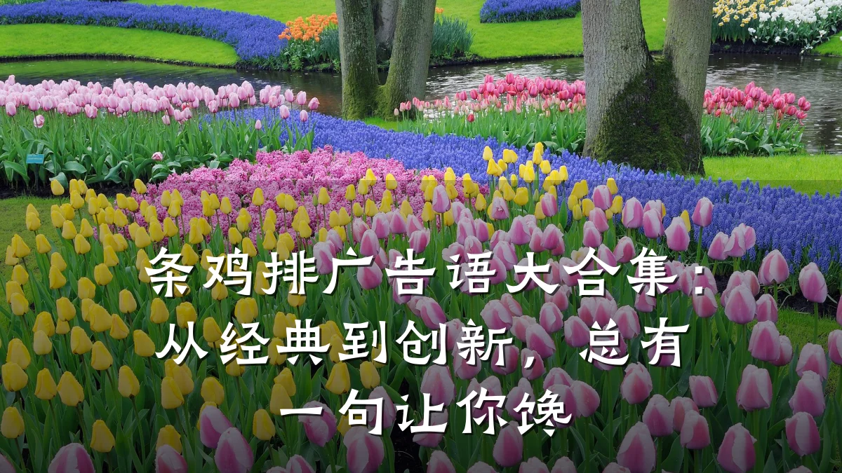 条鸡排广告语大合集:从经典到创新,总有一句让你馋