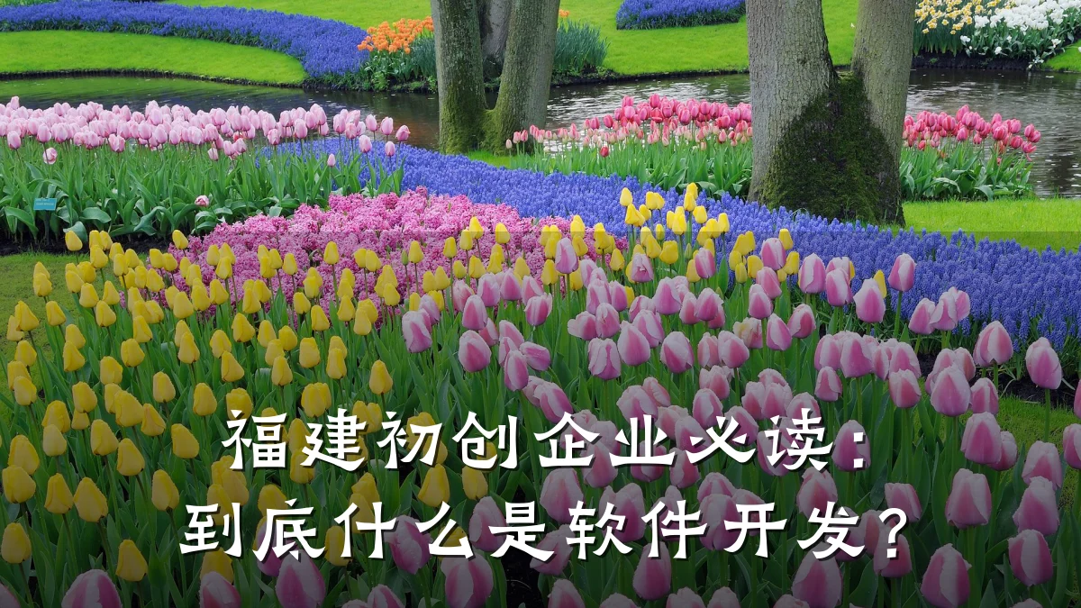 福建初创企业必读：到底什么是软件开发？
