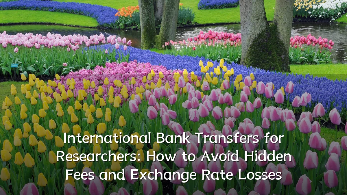 International Bank Transfers for Researchers: How to Avoid Hidden Fees and Exchange Rate Losses