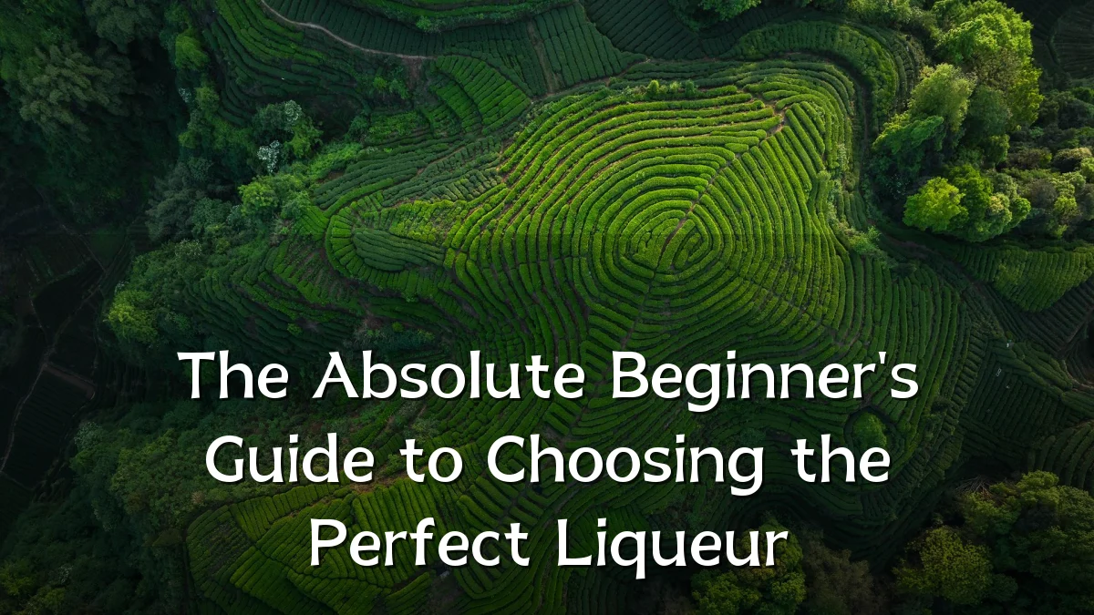 The Absolute Beginner's Guide to Choosing the Perfect Liqueur