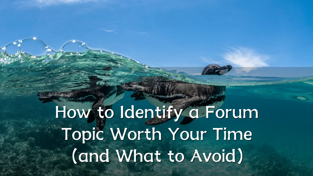How to Identify a Forum Topic Worth Your Time (and What to Avoid)