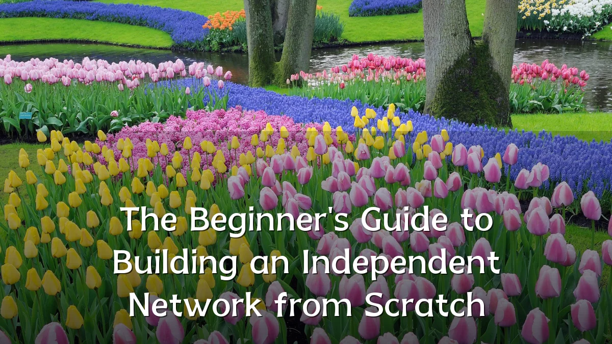 The Beginner's Guide to Building an Independent Network from Scratch