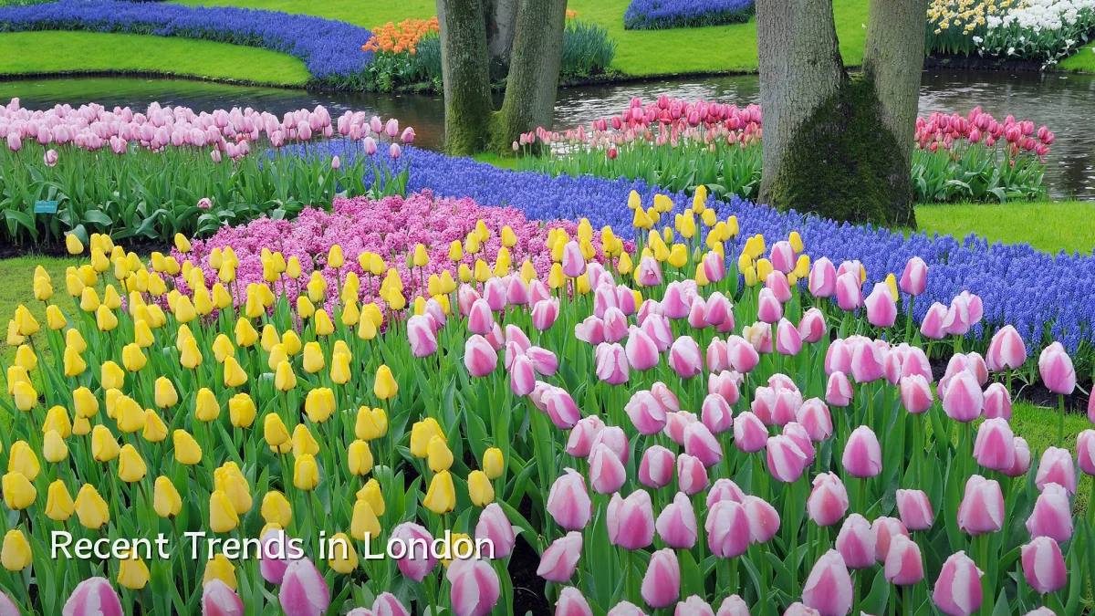 Recent Trends in London