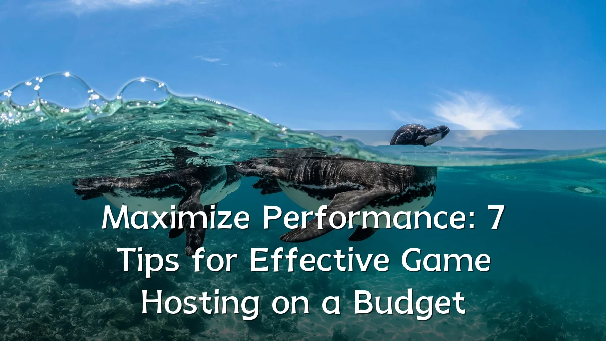 Maximize Performance: 7 Tips for Effective Game Hosting on a Budget