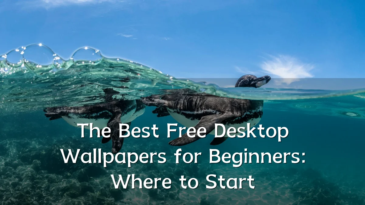 The Best Free Desktop Wallpapers for Beginners: Where to Start