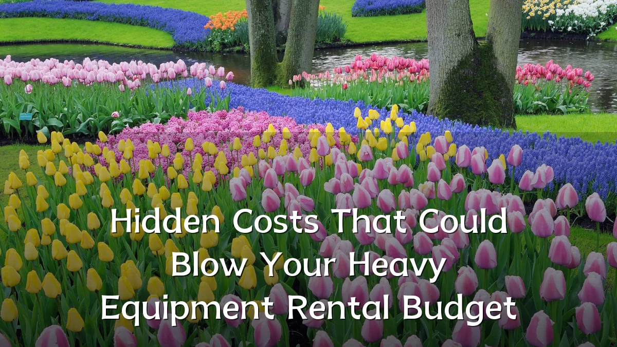 Hidden Costs That Could Blow Your Heavy Equipment Rental Budget