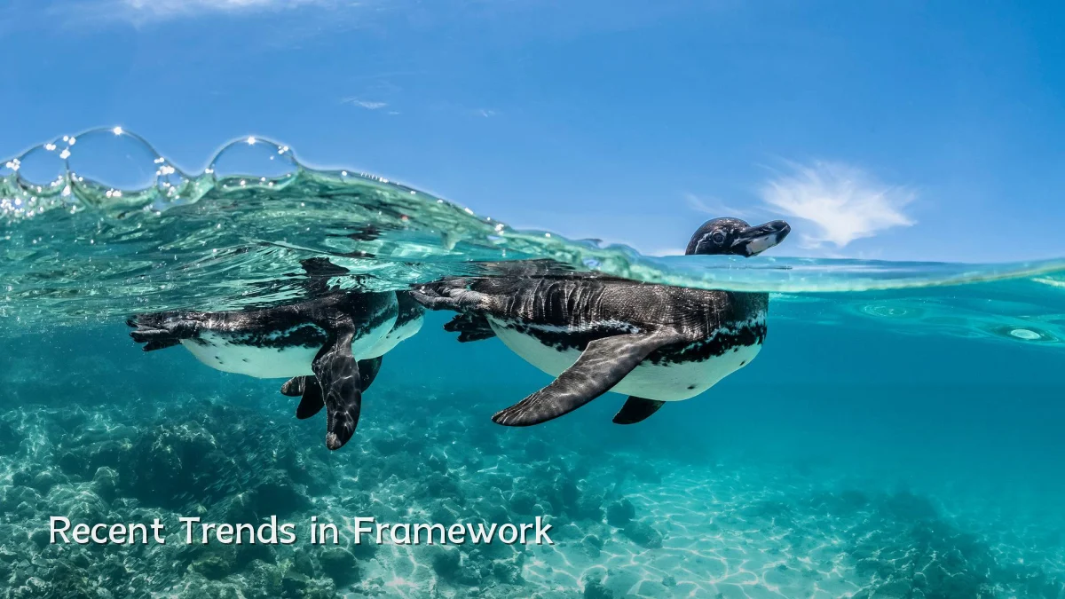 Recent Trends in Framework