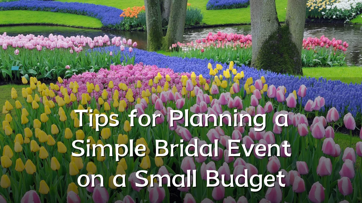 Tips for Planning a Simple Bridal Event on a Small Budget