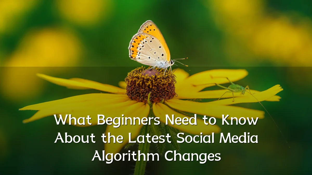 What Beginners Need to Know About the Latest Social Media Algorithm Changes