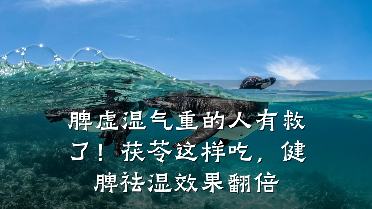 脾虚湿气重的人有救了！茯苓这样吃，健脾祛湿效果翻倍