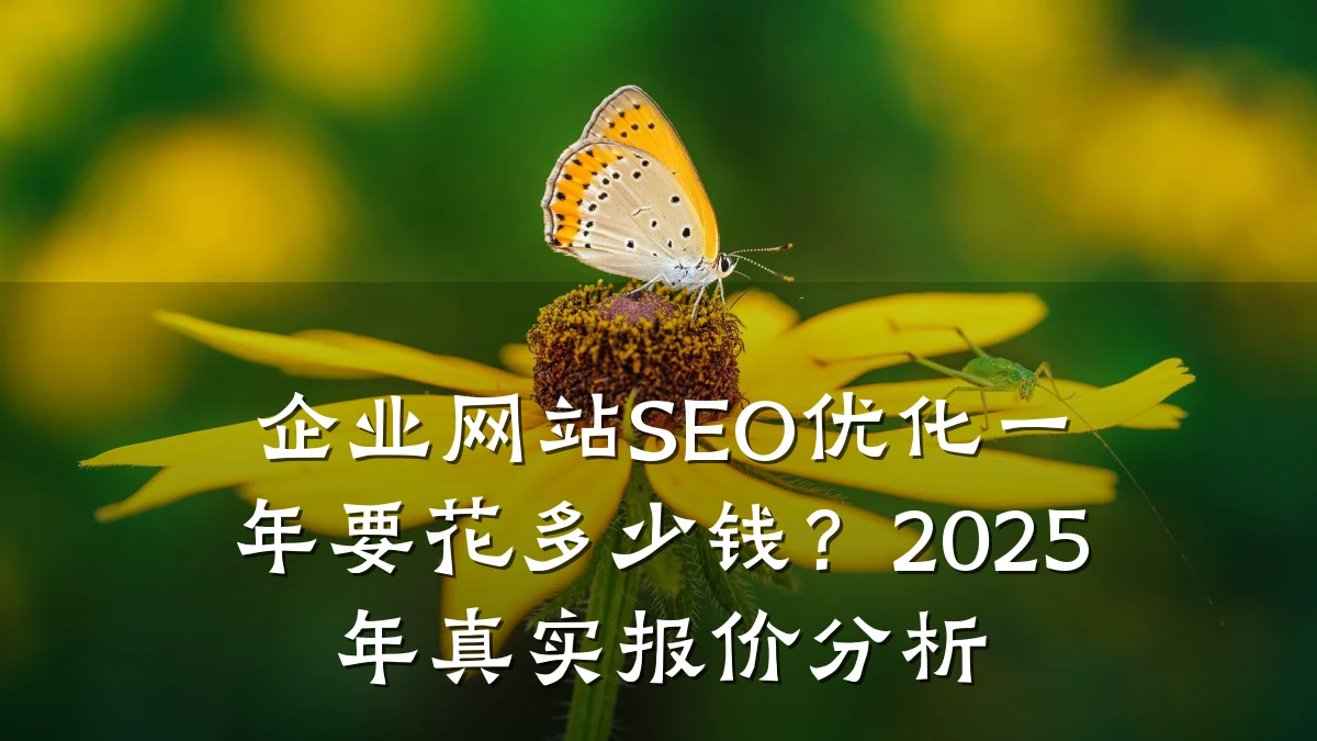 企业网站SEO优化一年要花多少钱?2025年真实报价分析