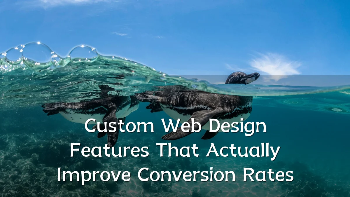 Custom Web Design Features That Actually Improve Conversion Rates