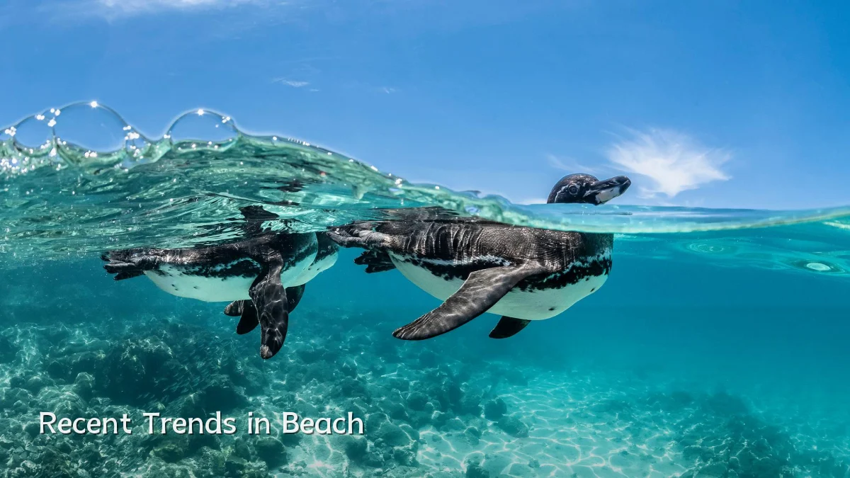 Recent Trends in Beach