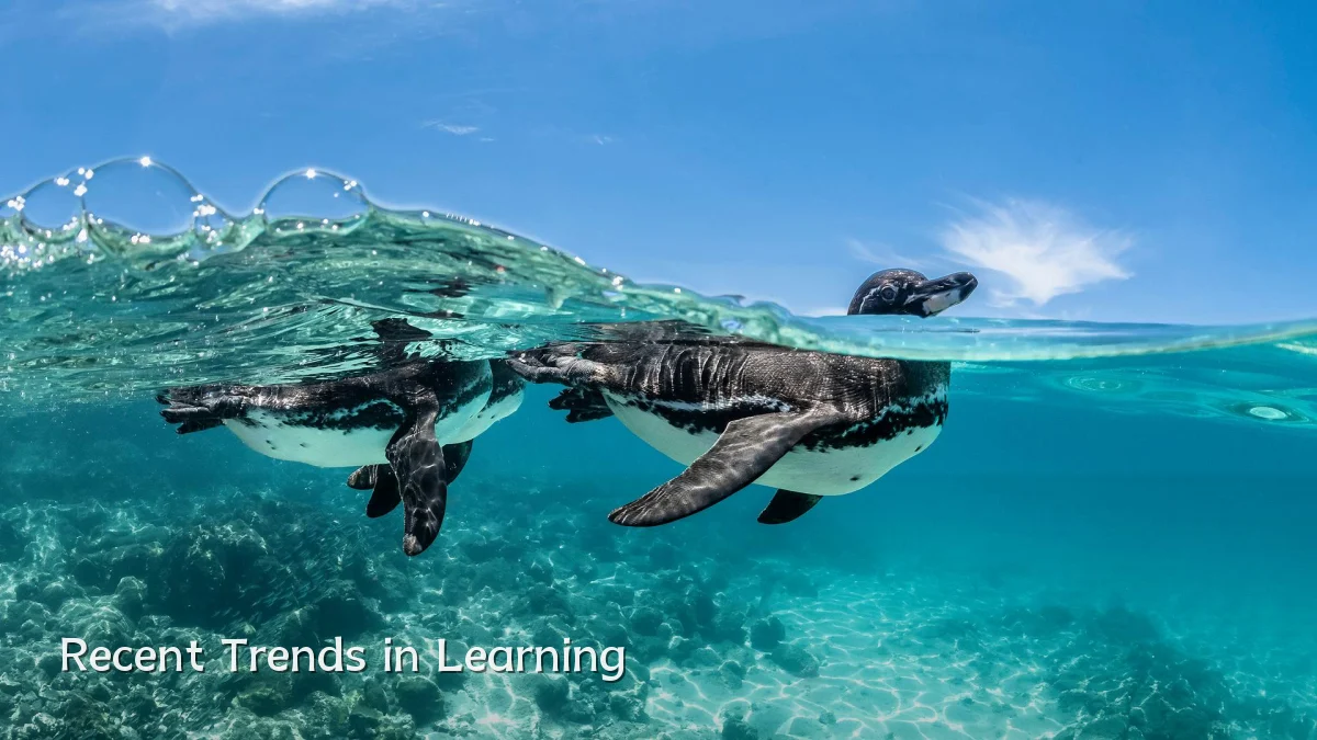 Recent Trends in Learning