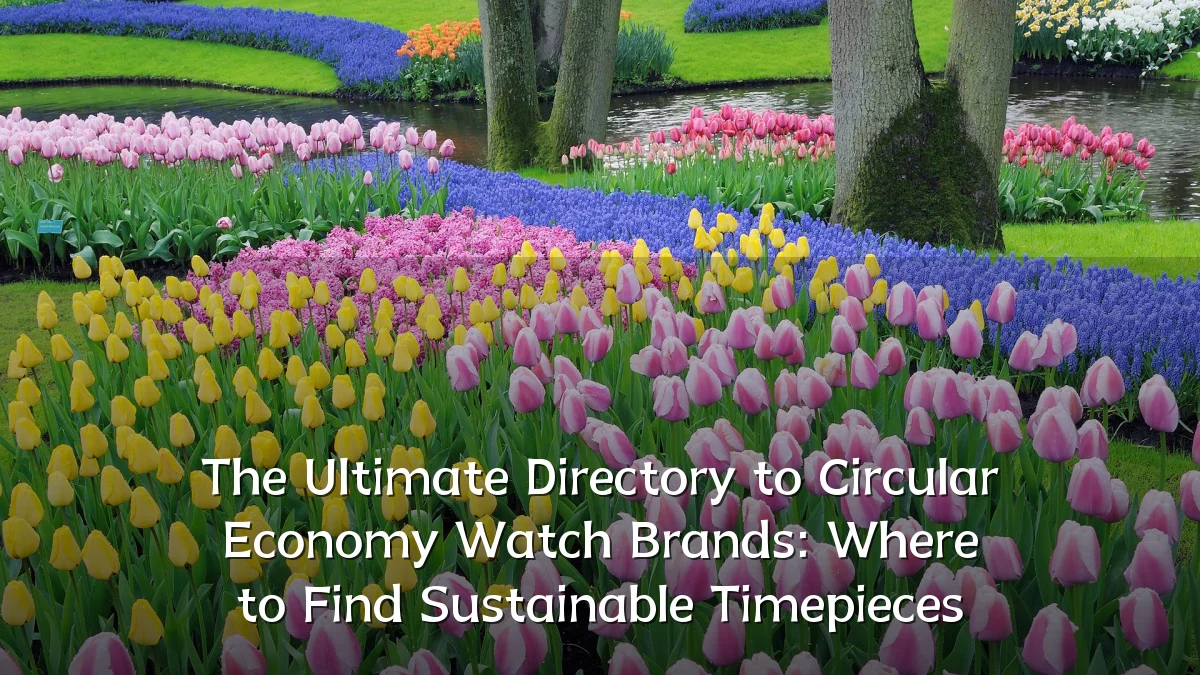 The Ultimate Directory to Circular Economy Watch Brands: Where to Find Sustainable Timepieces